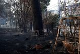 Grecko kvoli velkym horucavam suzuju lesne poziare