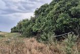 Nalez kostrovych pozostatkov v obci Velke Ripnany vysetruju ako vrazdu