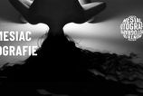 35 Mesiac fotografie pozyva na prvu vystavu poezie