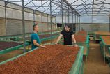 pripravene po rodinnem stole az po kavovych plantazach vo vietname