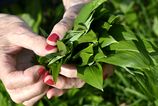 nezvycajne teple pocasie na zaciatku marca moze niektorych ludi prinutit ist von