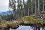 Ochrana ri objavili nove pliesko v Nizkych Tatrach na mieste kde sa buduje zjazdovka