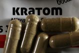 rekordny ulovok v cesku colnici v brne zhabali 800 kilogramov nelegalneho kratomu