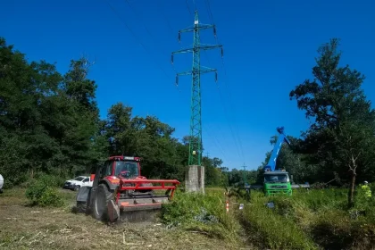 Najvyšší súd zamietol dovolanie štátu v kauze Pečnianskeho lesa