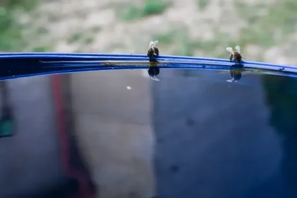 Po chladnom ráne príde príjemne teplý deň