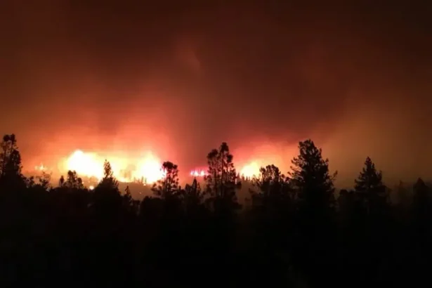 Požiar na ostrove Brač zasiahol desať percent územia, evakuovali vyše 700 ľudí