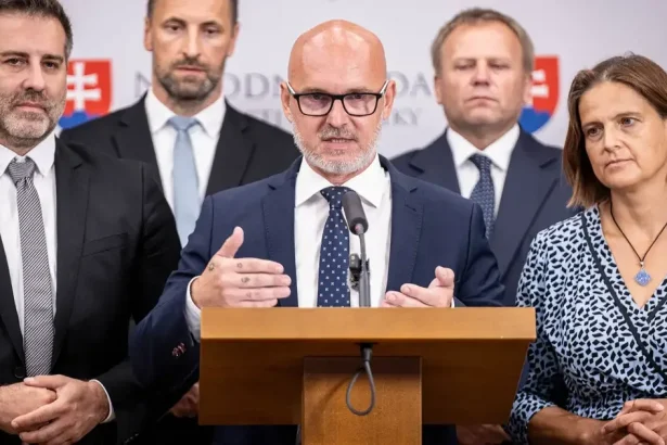 SaS: Vláda zlyhala pri sviatku, chýba podpora ekonomiky