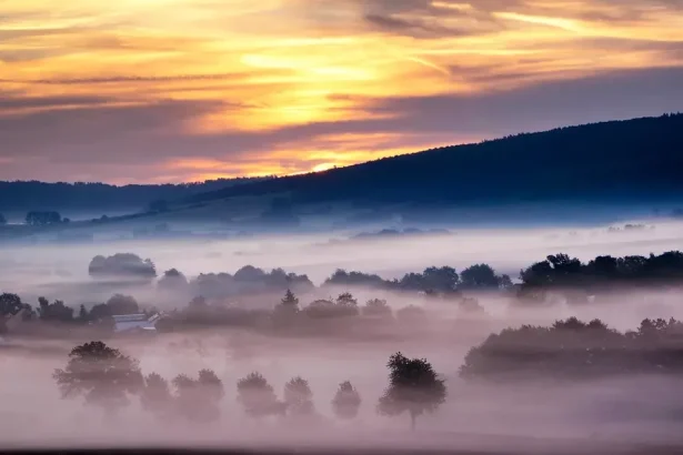 Slovensko čaká slnečný deň, meteorológovia hlásia ojedinelé hmly a nízku oblačnosť
