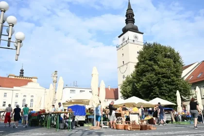 Ako bude vyzerať zastupiteľstvo Trnavského kraja: kompletné výsledky
