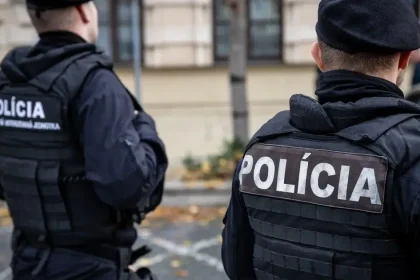 Muž z Bratislavy čelí obvineniu za zabitie psa po hádke s partnerkou